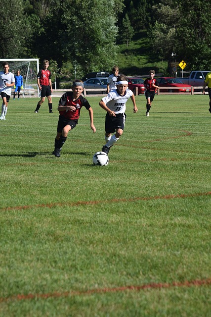 渐掌握了国 渐掌握了国