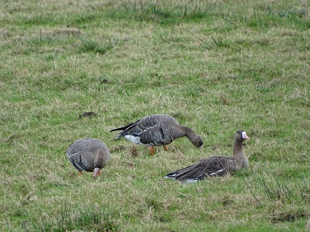 对强队时容 对强队时容