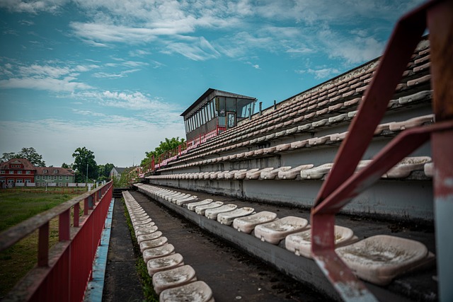 在近年的中 在近年的中