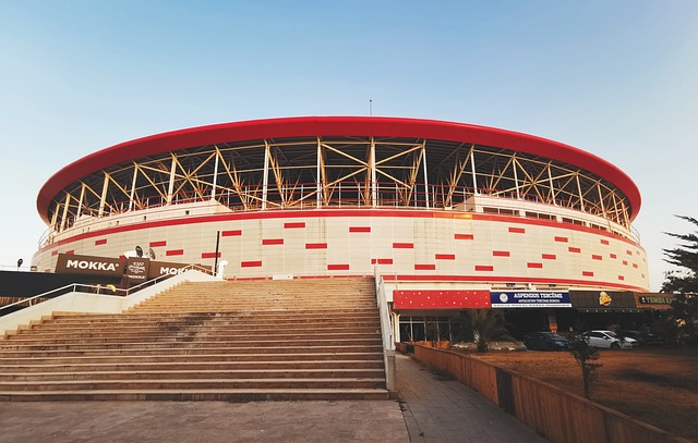 重要原因 重要原因